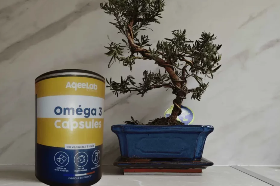 Avis Om&eacute;ga 3 Aqeelab