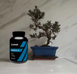 Avis Om&eacute;ga 3 Zumub