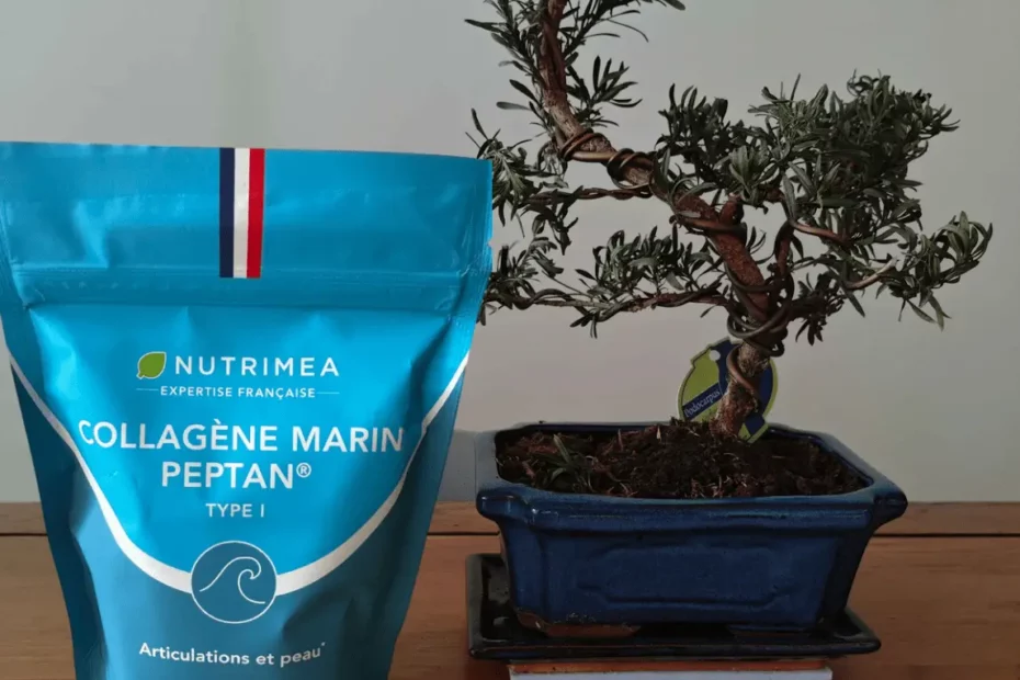Nutrimea Collag&egrave;ne Marin
