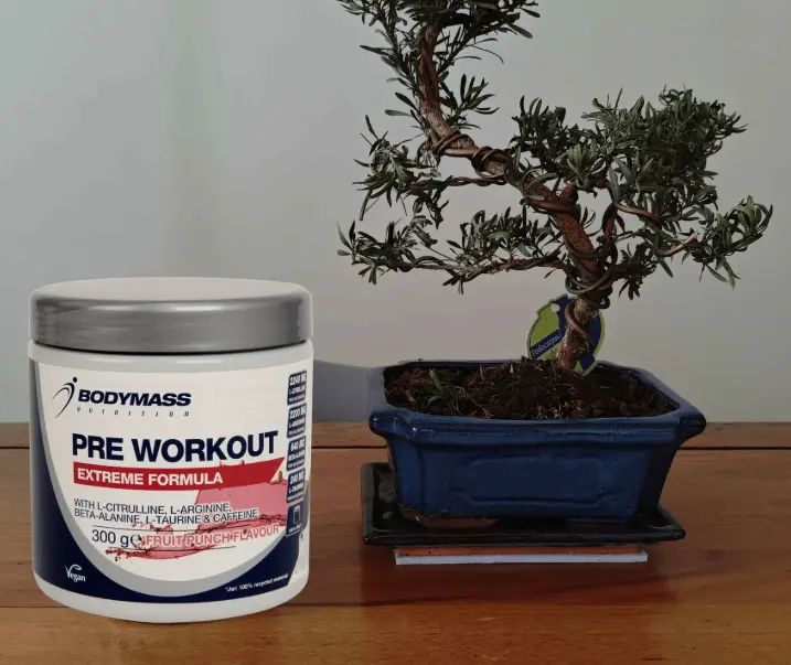 Bodymass Pr&eacute;-Workout