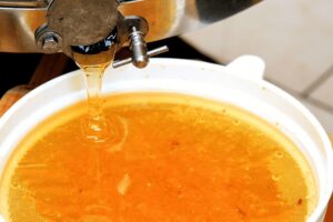 Miel de carottes : tr&eacute;sor nutritionnel aux vertus exceptionnelles