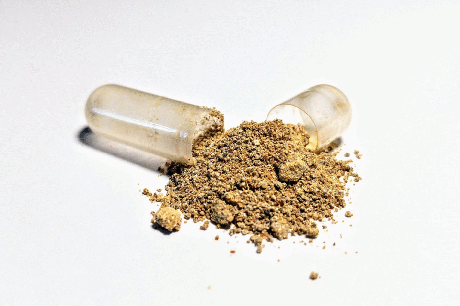 Comment bien choisir son ashwagandha