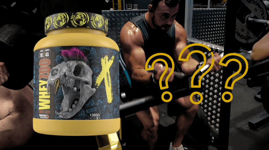 Avis Whey Zoomad Labs 