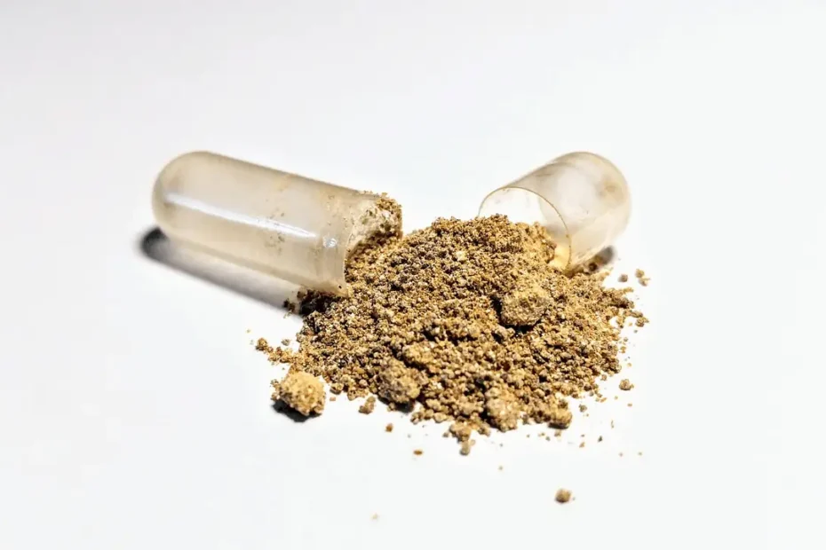 Comment bien choisir son ashwagandha