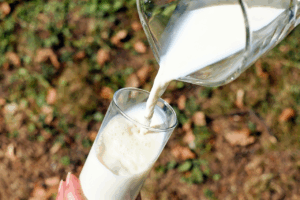 Avec quoi prendre la whey ? Le guide complet pour optimiser vos r&eacute;sultats