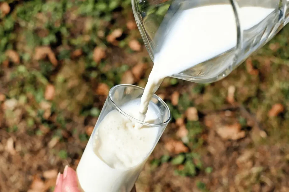 De quoi sont compos&eacute;es les prot&eacute;ines de lait ?