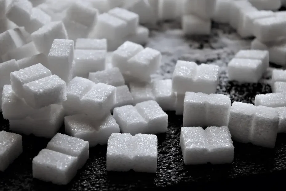 Diff&eacute;rence entre sucre lent et sucre rapide