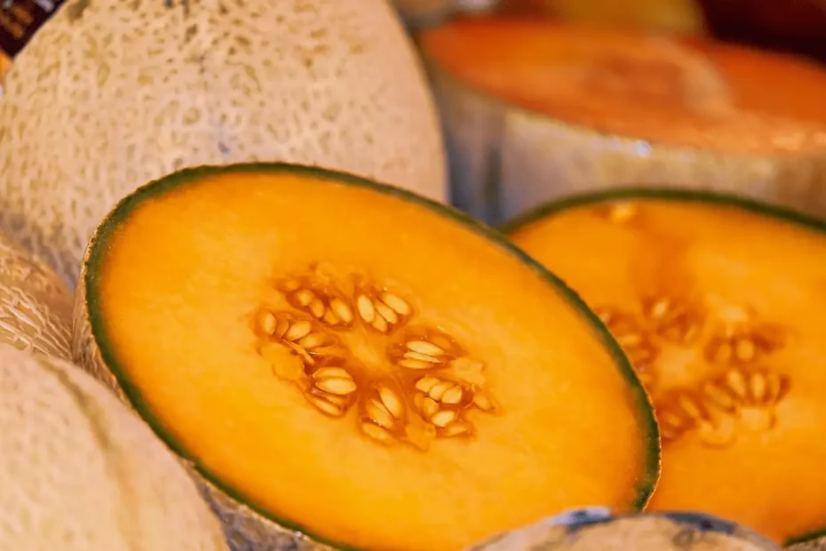 le melon