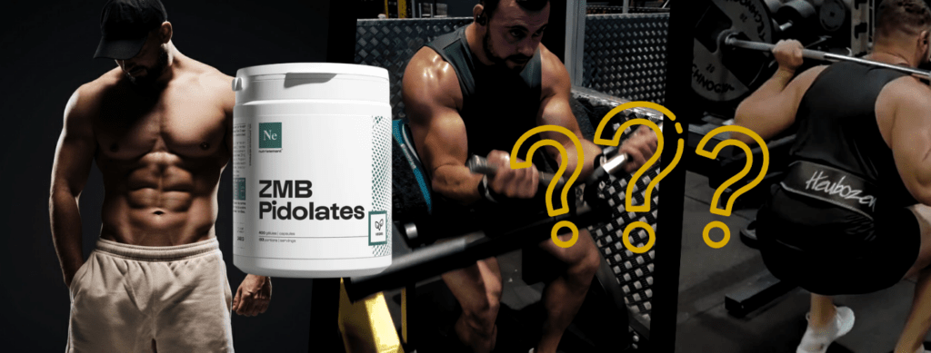 Avis ZMB Nutrimuscle