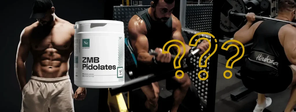 ZMB Nutrimuscle