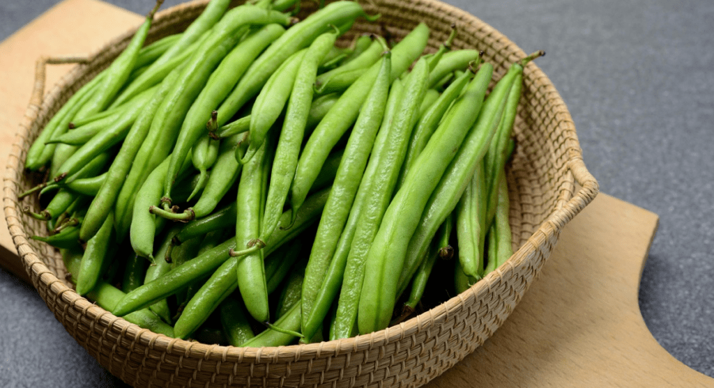 haricots verts musculation bienfaits