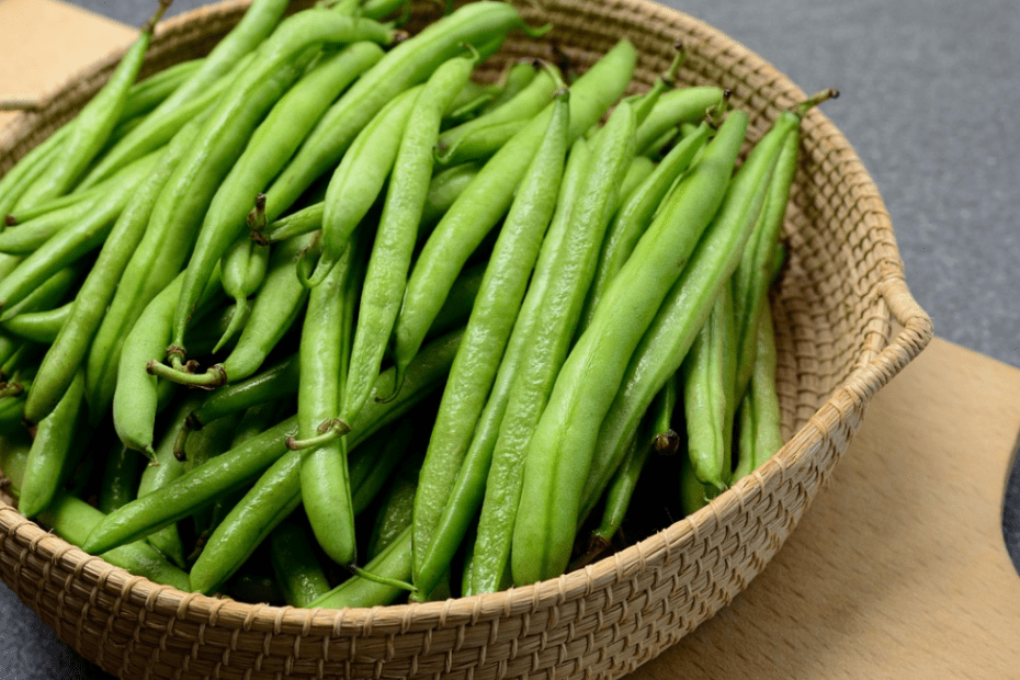 haricots verts musculation bienfaits