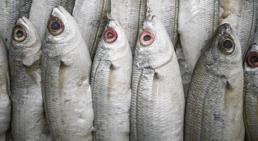 Acides Gras Satur&eacute;s Et Insatur&eacute;s