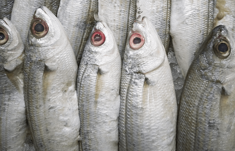 Acides Gras Satur&eacute;s Et Insatur&eacute;s