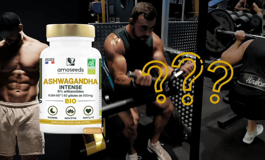 Mon test de l'ashwagandha Amoseeds