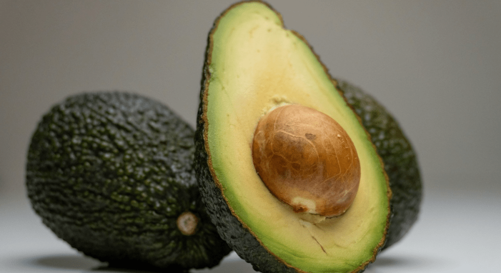 avocat musculation