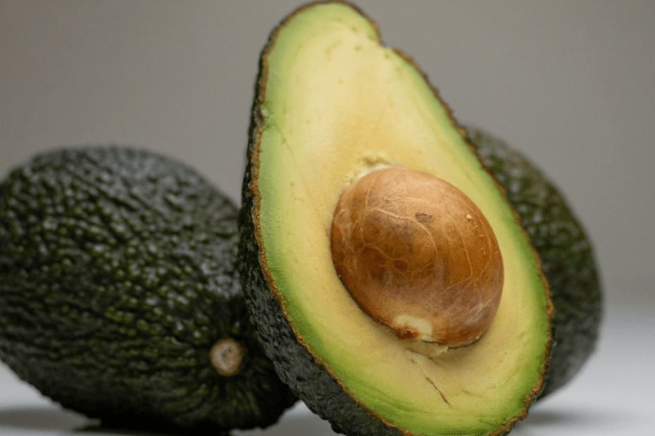 avocat musculation