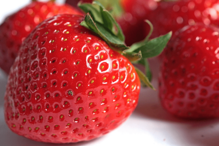 fraise musculation