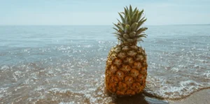 Ananas Musculation : Le Fruit Qui Optimise Votre R&eacute;cup&eacute;ration