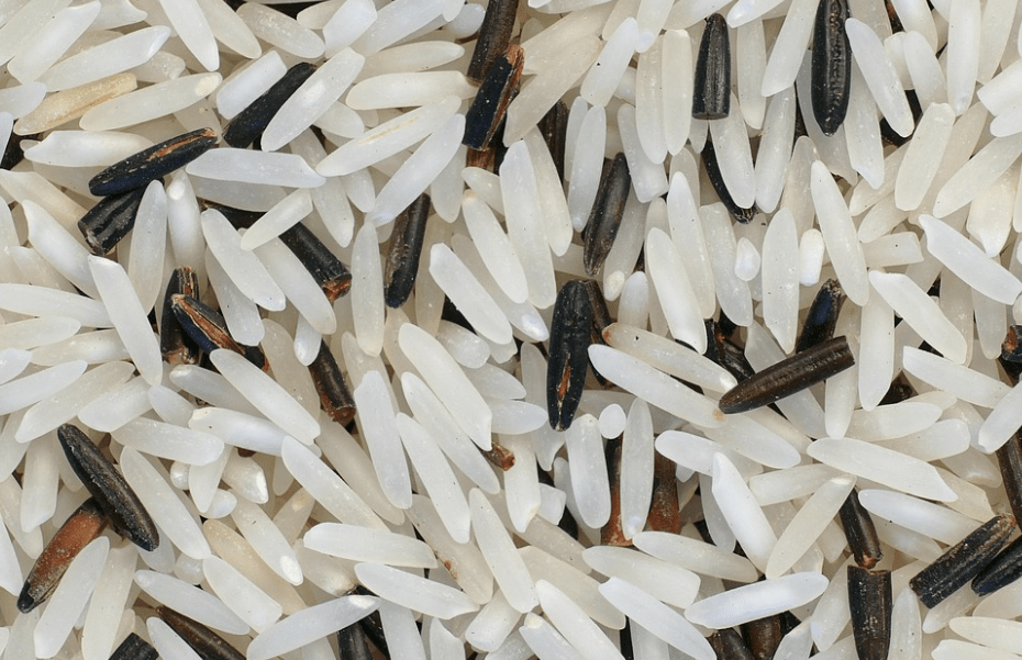 riz musculation bienfaits