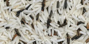 Riz Musculation : Le Glucide des Bodybuilders