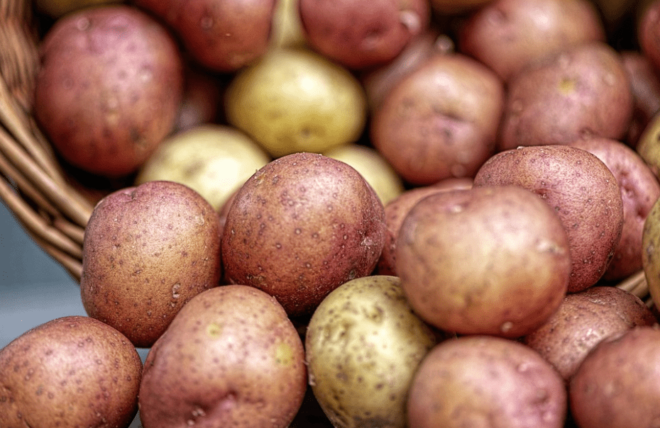 pomme de terre musculation bienfaits