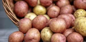 Pomme De Terre Musculation : Le Tubercule Mal-Aim&eacute;