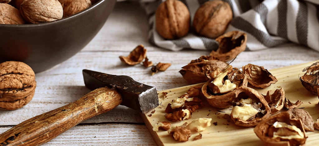 noix musculation bienfaits