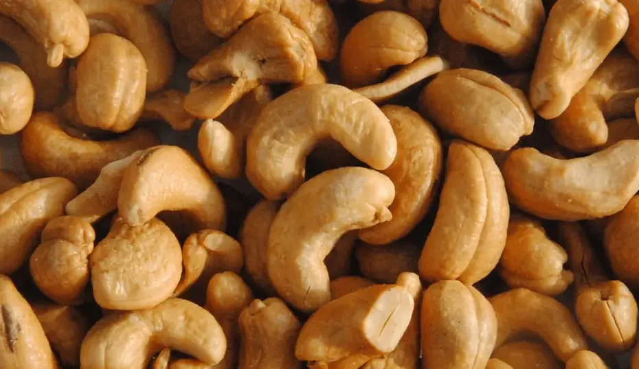 noix de cajou musculation bienfaits