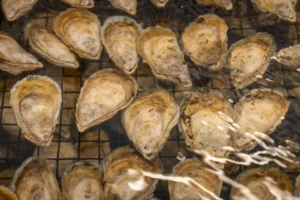 Aliments riches en Zinc : le top des sources naturelles