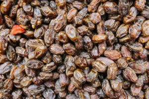 Les dattes : un superaliment aux mille vertus