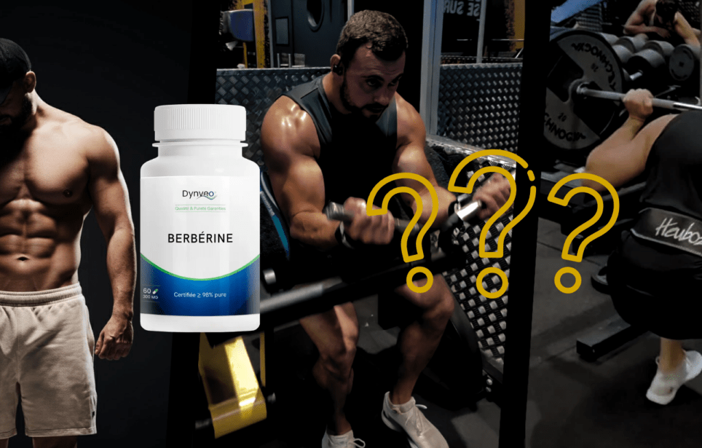 Berb&eacute;rine Dynveo