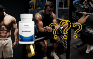 Berb&eacute;rine Dynveo