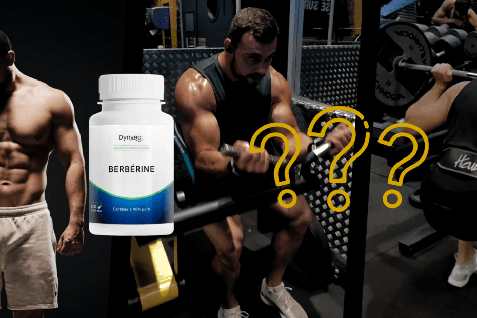 Berb&eacute;rine Dynveo