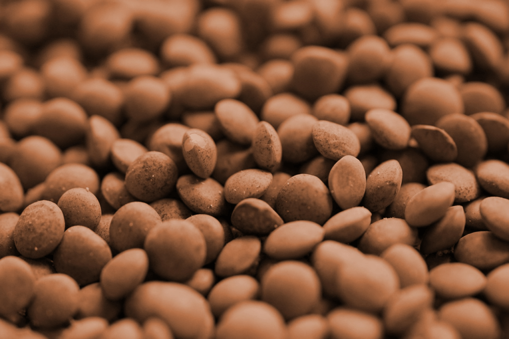 lentilles