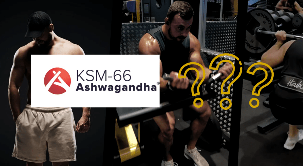 Logo Label extrait Ksm-66 