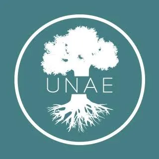 Logo Unae